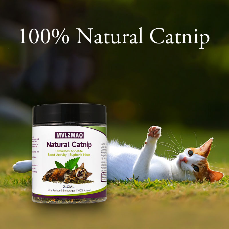 Cat Toys - Silvervine Catnip f - Herbal Wellness Products avis et prix