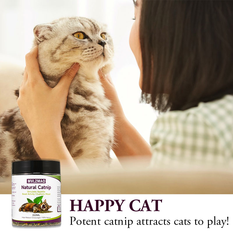 Cat Toys - Silvervine Catnip f - Herbal Wellness Products avis et prix