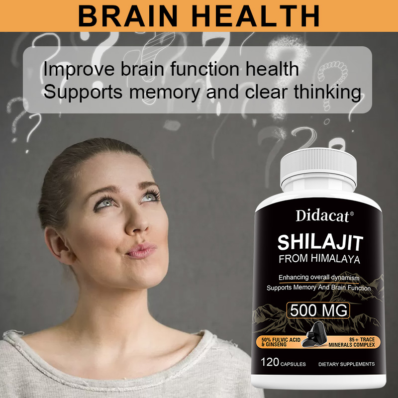 Himalayan Shilajit & Ginseng C - Herbal Wellness Formula avis et prix